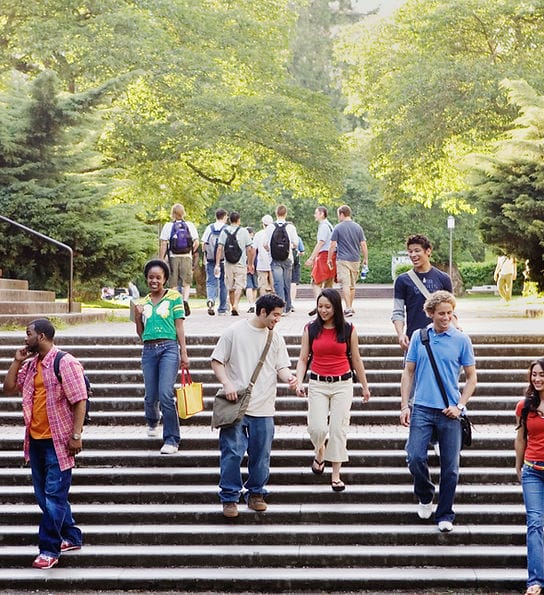 WhatsApp Image 2025-05-25 at 10.41